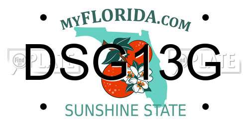 DSG13G Florida License Plate