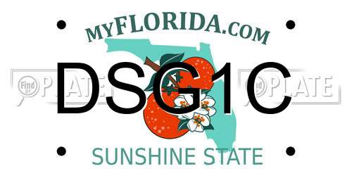 DSG1C Florida License Plate