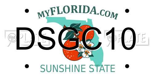 DSGC10 Florida License Plate