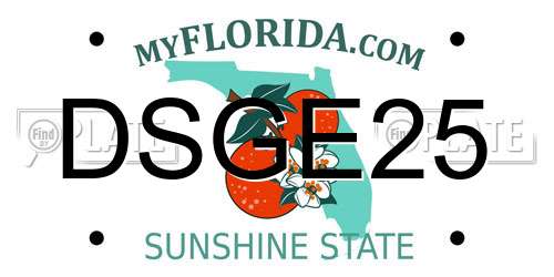 DSGE25 Florida License Plate