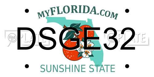 DSGE32 Florida License Plate