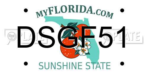 DSGF51 Florida License Plate