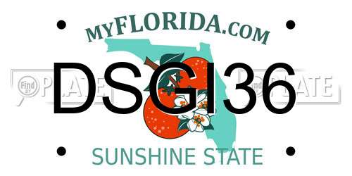 DSGI36 Florida License Plate