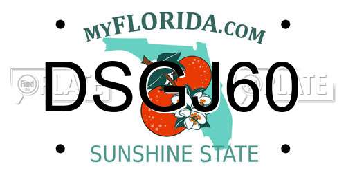 DSGJ60 Florida License Plate