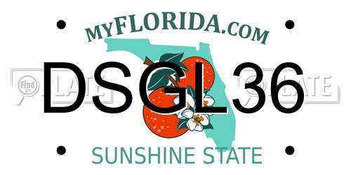 DSGL36 Florida License Plate