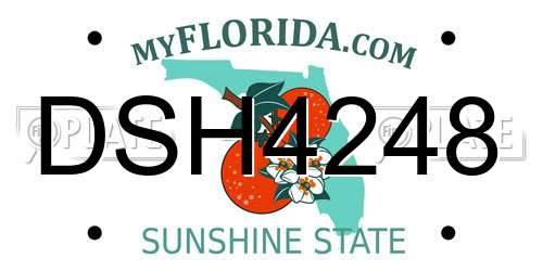 DSH4248 Florida License Plate