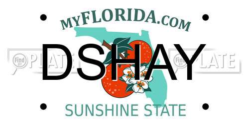 DSHAY Florida License Plate
