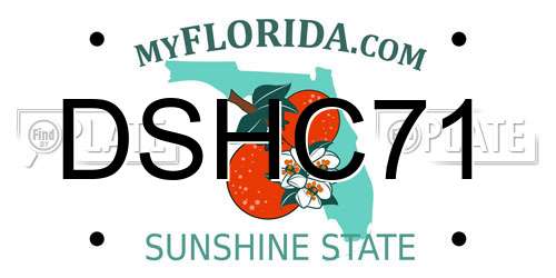 DSHC71 Florida License Plate