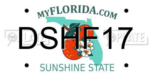 DSHF17 Florida License Plate