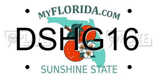 DSHG16 Florida License Plate