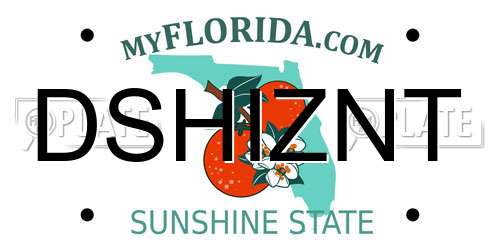 DSHIZNT Florida License Plate