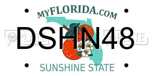 DSHN48 Florida License Plate