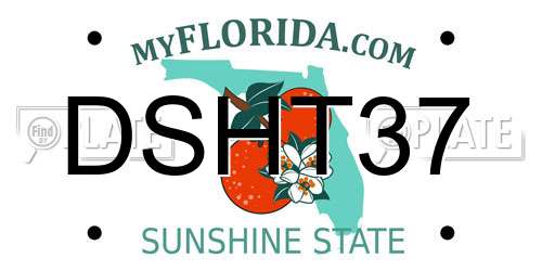DSHT37 Florida License Plate