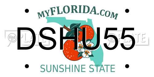 DSHU55 Florida License Plate