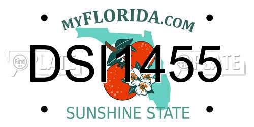 DSI1455 Florida License Plate