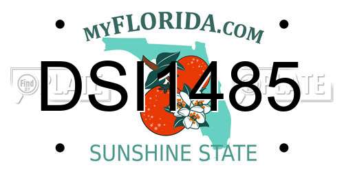 DSI1485 Florida License Plate