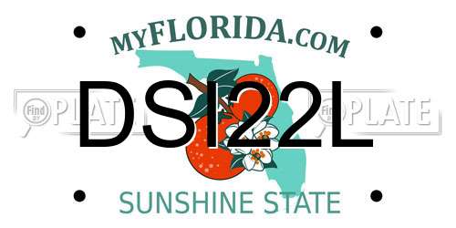 DSI22L Florida License Plate