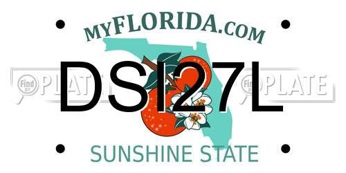 DSI27L Florida License Plate