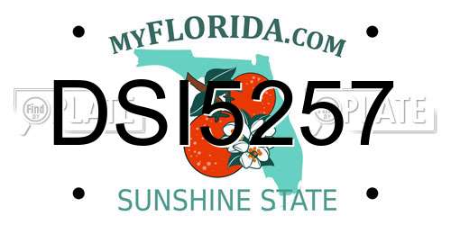 DSI5257 Florida License Plate