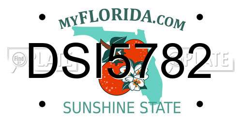 DSI5782 Florida License Plate