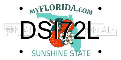 DSI72L Florida License Plate