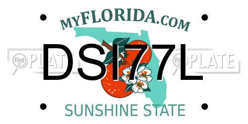 DSI77L Florida License Plate