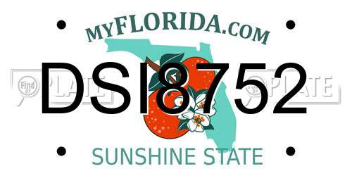 DSI8752 Florida License Plate