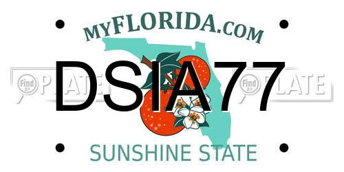 DSIA77 Florida License Plate