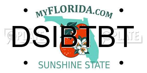 DSIBTBT Florida License Plate