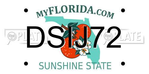 DSIJ72 Florida License Plate