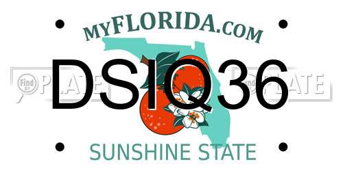 DSIQ36 Florida License Plate