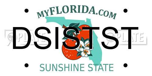 DSISTST Florida License Plate
