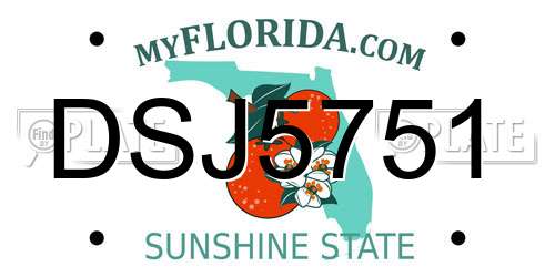 DSJ5751 Florida License Plate
