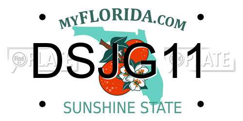 DSJG11 Florida License Plate