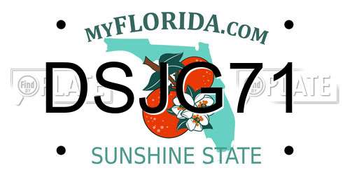 DSJG71 Florida License Plate