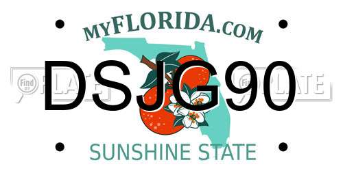 DSJG90 Florida License Plate