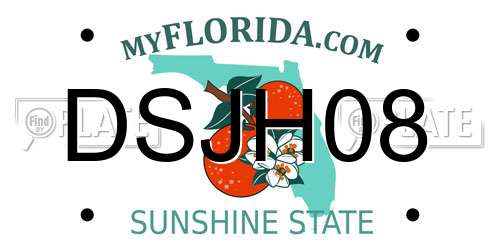 DSJH08 Florida License Plate