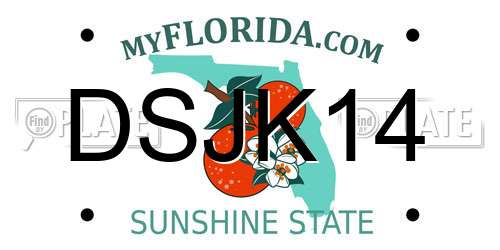 DSJK14 Florida License Plate