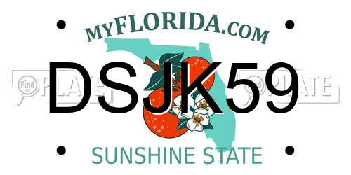 DSJK59 Florida License Plate