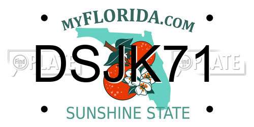 DSJK71 Florida License Plate
