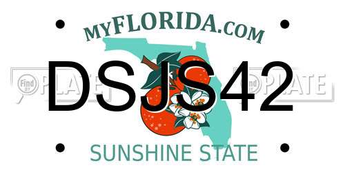 DSJS42 Florida License Plate