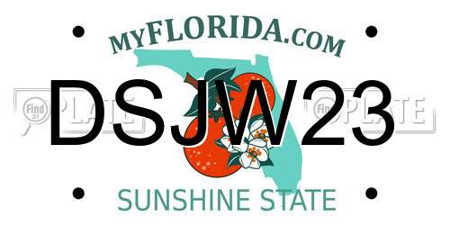 DSJW23 Florida License Plate