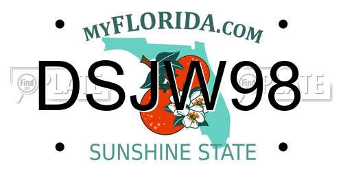 DSJW98 Florida License Plate