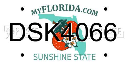 DSK4066 Florida License Plate