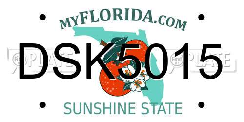 DSK5015 Florida License Plate
