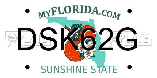 DSK62G Florida License Plate