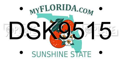 DSK9515 Florida License Plate