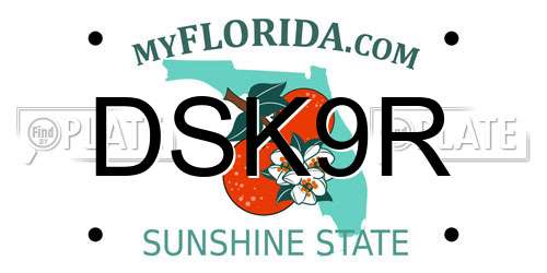 DSK9R Florida License Plate