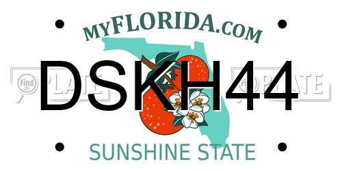 DSKH44 Florida License Plate