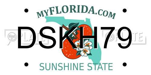 DSKH79 Florida License Plate